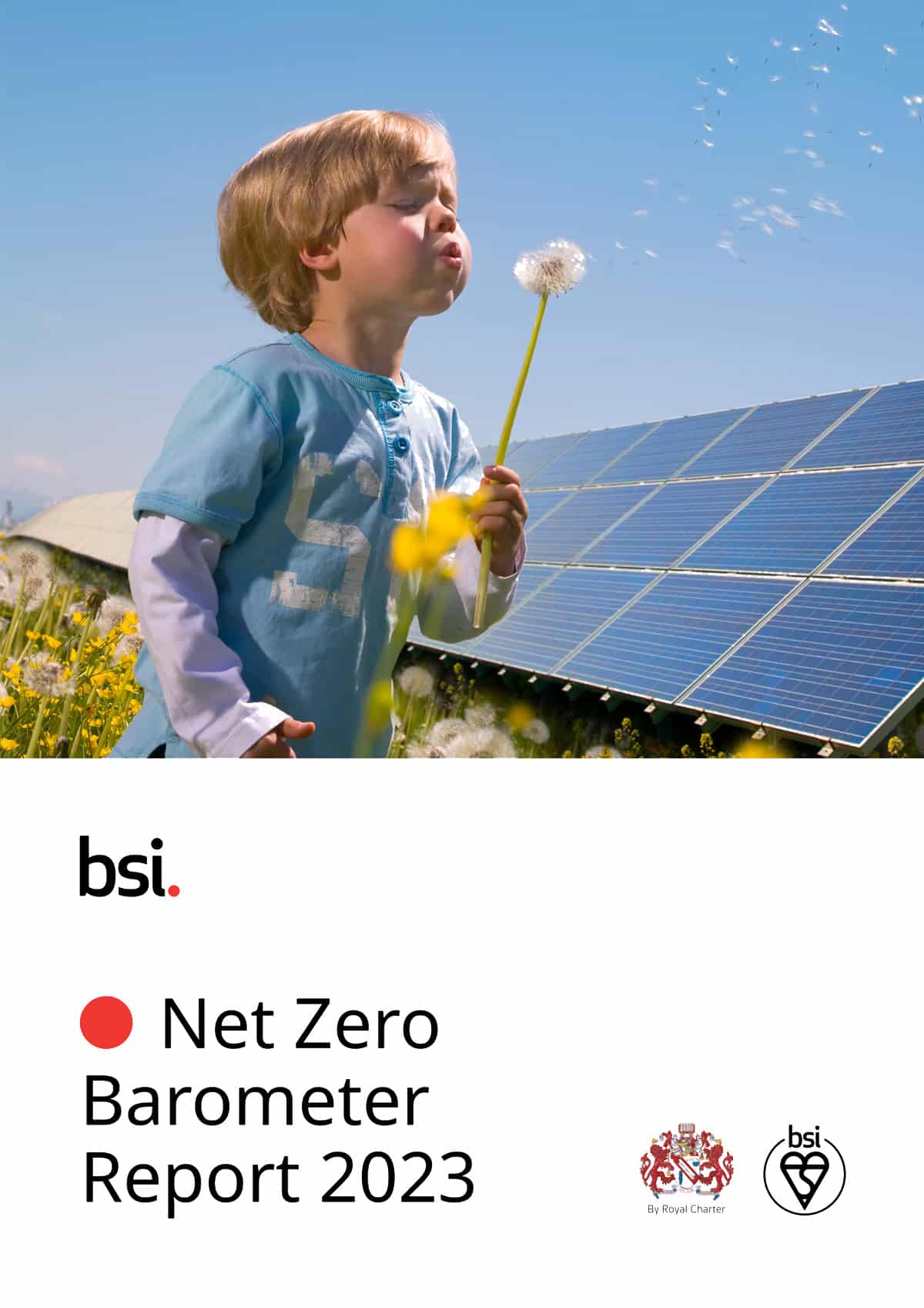 BSI Net Zero Barometer Report 2023